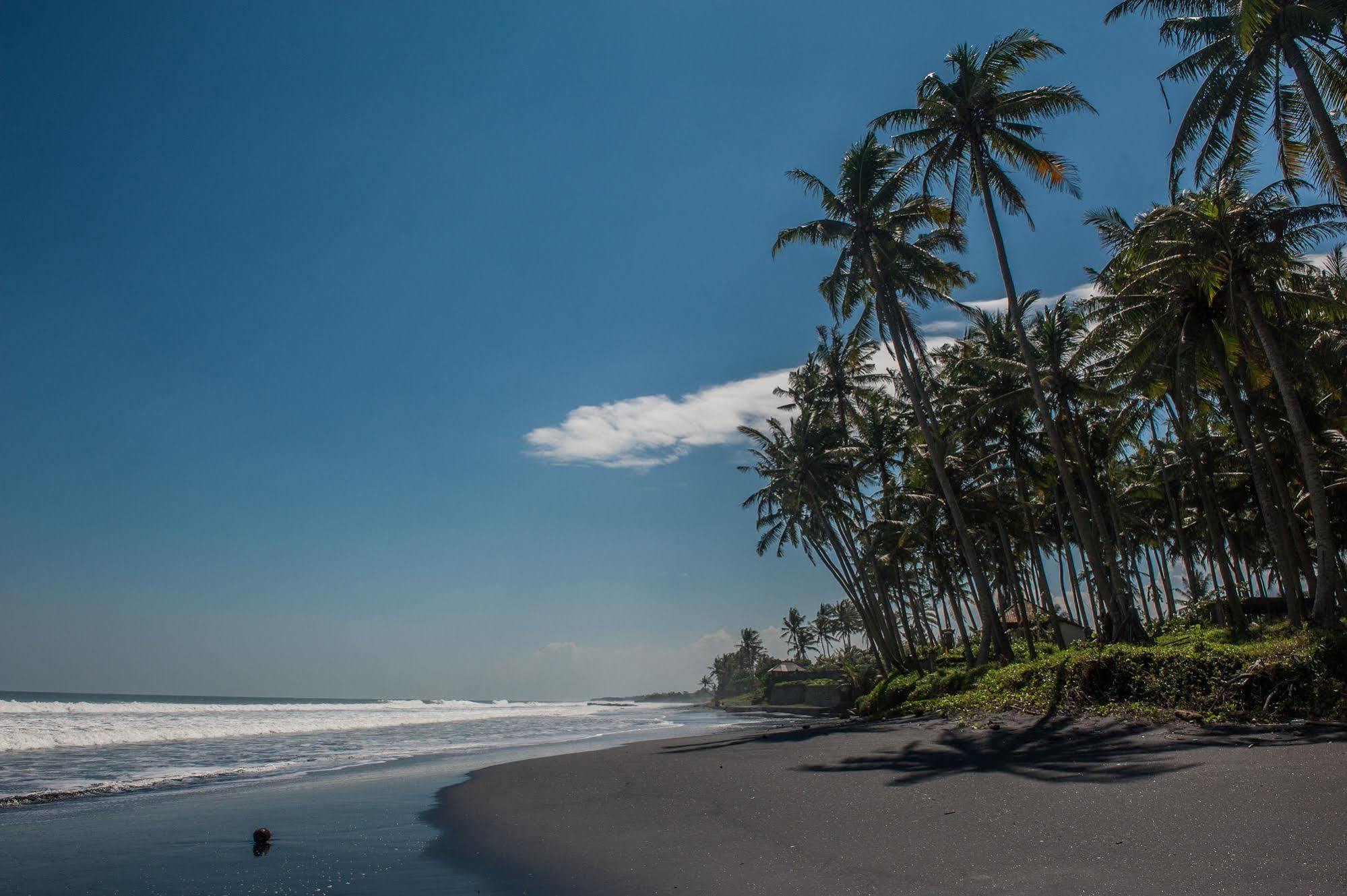 Most Exotic Beachfront Villa Keong Selemadeg Exterior foto